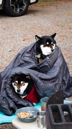 Ｇｕｎｎｅｒ ✱ on Instagram: "Creating so many memories here😂😂😂 When you are born into an outdoorsy family, you go camping no matter the weather🧣🥶"