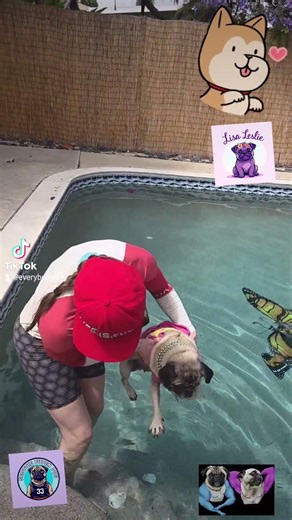 Lisa Leslie pug enjoys cross training getting swimming done!!!!