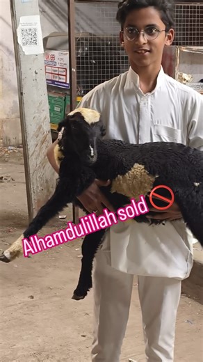 osman ali goat farm on Instagram: "Alhamdulillah @osman_ali_goat_farm_vip"