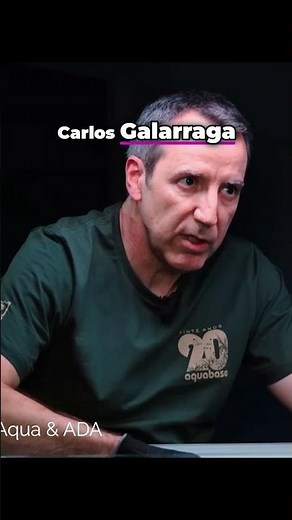 Brazilian Aquascaping: Wild, Dynamic, & Inspired by a Legend!