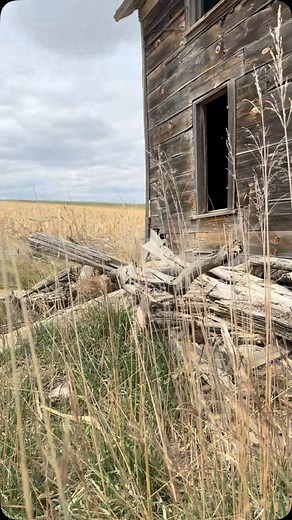 3.5K views · 27 reactions | The air was coming out of the compressor...