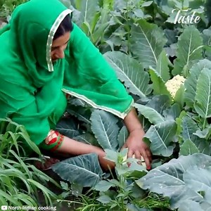 22M views · 81K reactions | It is so relaxing to watch this Credit: North-Indian cooking (bit.ly/2uDzX7G) | Taste Life | Facebook