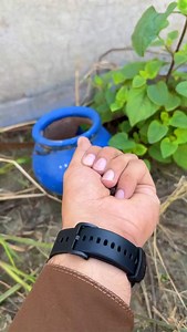 Feeding baby finch | Birds Lover