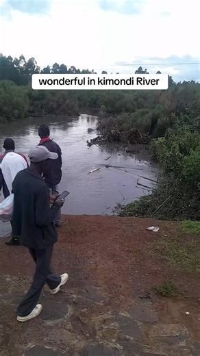 Kimondi River in Nandi: A Scenic View
