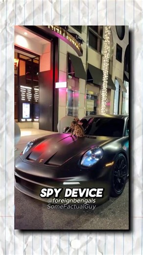 The CIA's Secret $20 Million Cat Project...