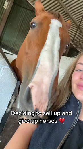 Deciding to Give Up on Horses: A Heartbreaking Journey