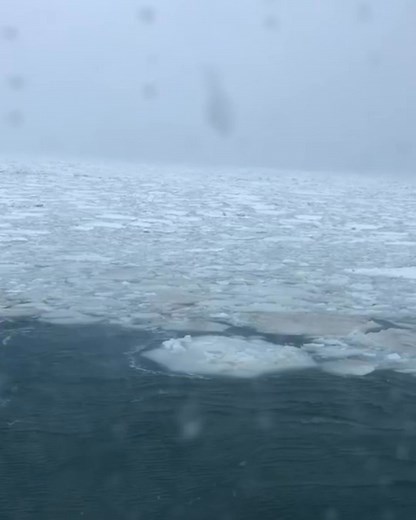 Trident Seafoods on Reels