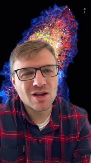 A Biology Teacher on TikTok