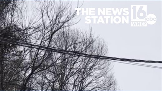 Authorities are on the scene of a train derailment behind Moosic Road in Old Forge. | WNEP-TV