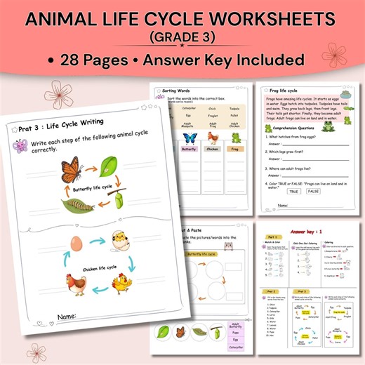 Animal Life Cycle Worksheets PDF | Butterfly Frog Chicken Mosquito | Grade 3 Science - Etsy