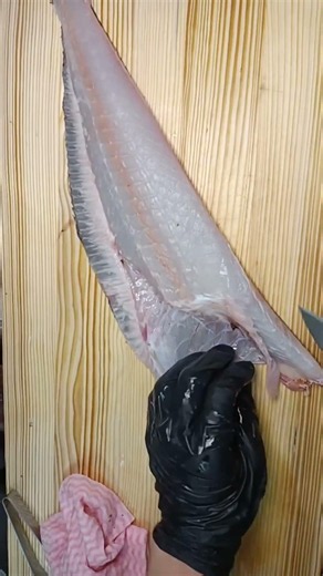 ひらめのさばき方です！千葉のプライドフィッシュのまかじき！市場ではあまり見ないけど獲れてるのでしょうか？美味しいのかな？あれば使うんですけどね〜
