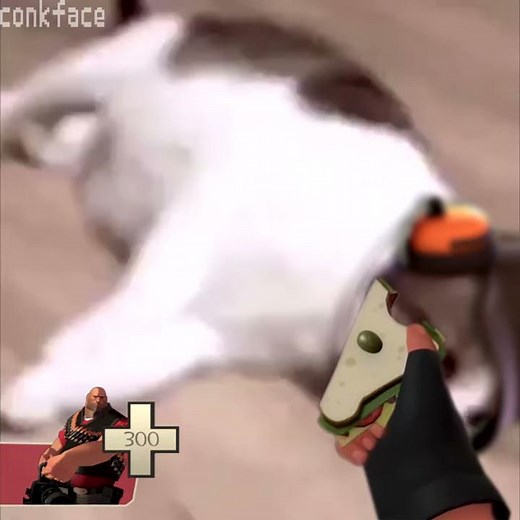 Cat in tf2 (awesome!)