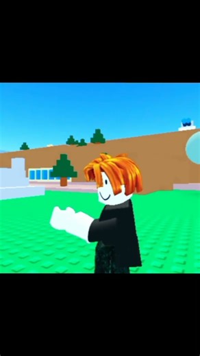 the bird is flying🦅🦅 #animation #animated #memes #roblox