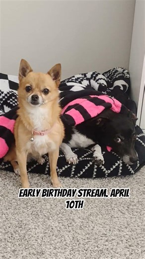 tune in for my early birthday stream. April 10th is my birthday. #fypシ #join #subscribe #viral