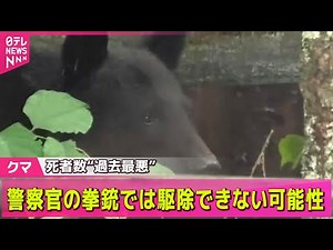 【クマ】「クマ被害対策施策パッケージ」被害相次ぎ見直し指示 初の関係閣僚会議 ── 社会ニュースまとめ （日テレNEWS LIVE）