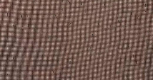 Be prepared, mosquitoes are out to bug Utah with possible diseases for a while