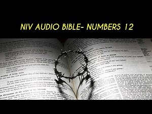 NUMBERS 12 NIV AUDIO BIBLE (with text)