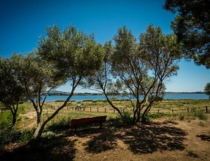 Camping en bordure de l’étang d thau à Bouzigues - Lou labech