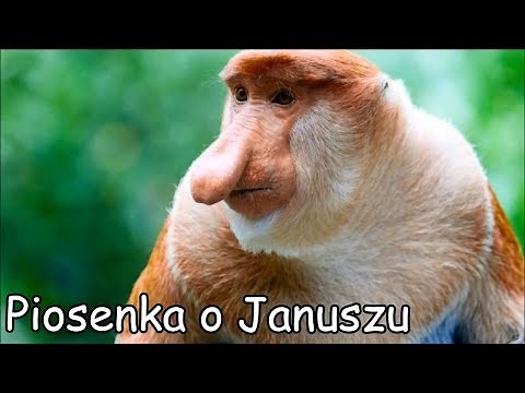 Piosenka o Januszu (Ogórek, Ogórek, Ogórek-Parody)