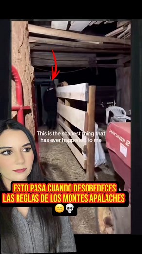 1.7M views · 62K reactions | Una de las reglas de los montes apalaches es no salir después del anochecer y ella salió  #appalachia #skinwalker #fblifestyle | ParanormalStoriesby Marijo | Facebook