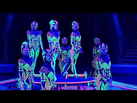 X Roses Contortion Centre Troupe Bud XSpiders 2, Bronze IDOL 2024