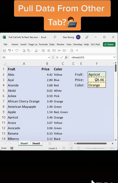 How do you pull cell data from another tab? #excel #xlninjadan #google...