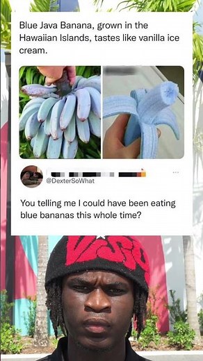 Blue Java Banana, grown in the Hawaiian Islands, tastes like vanilla ice cream.