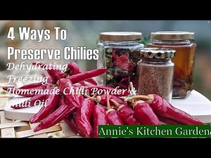 4 Ways To Preserve (Chillies): Using A Dehydrator; Freezing And Homemade Chilli Powder & Chilli Oil