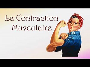 Neurofacile 10: Muscle contraction