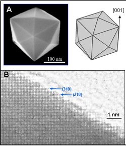 The many faces of platinum nanocrystals