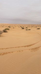 Bogmaà Lakdar on Reels