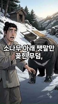 곰에게 활을 겨눈 손자, 할아버지의 서약을 몰랐다 | 야담 | 옛날이야기 | 민담 | 옛날이야기모음 | 수면동화