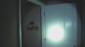 Strange Harvest - Official Trailer (2025) Peter Zizzo, Terri Apple, Andy Lauer