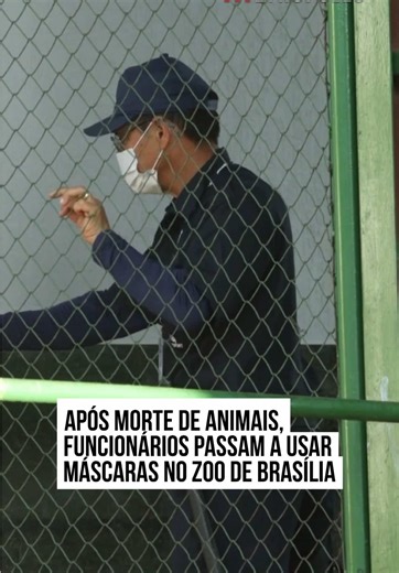 Interdição do Zoológico de Brasília por Gripe Aviária