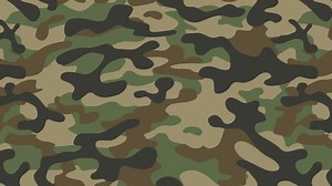 Seamless Camouflage Fashionable Camouflage Style Repeats Stock Footage Video (100% Royalty-free) 1098698955 | Shutterstock