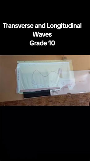 Exploring Transverse and Longitudinal Waves in Grade 10