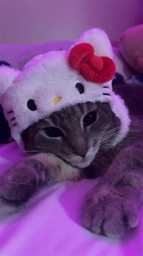 Shop now at KawaiiHeaven.com for cute kawaii stuff! ☁️ #HelloKitty #Y2K #CuteCore #HomeDecor #Accessories