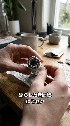 家庭菜園のプロが実践！間引き不要のシードテープ種まき術