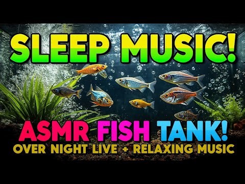 ASMR Fish Aquriaum Live Stream - My Real Tank - Water is Looking Great - Fish Are Doing Great!