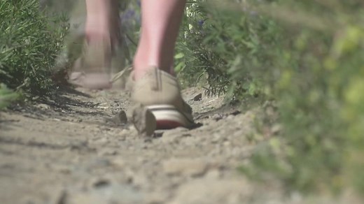 California Library Parks Pass program future in limbo amid budget negotiations