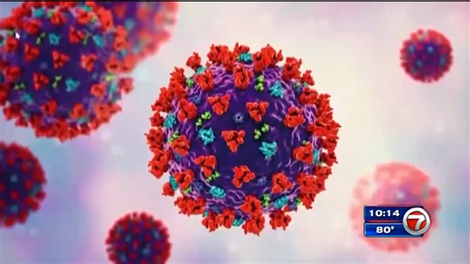 First case of omicron reported in Miami-Dade County - WSVN 7News | Miami News, Weather, Sports | Fort Lauderdale