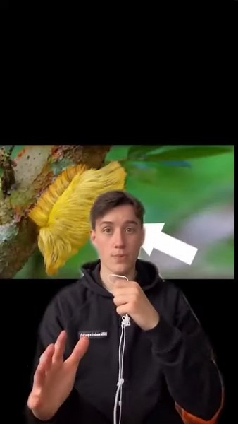 Why noticing certain signs could require immediate action