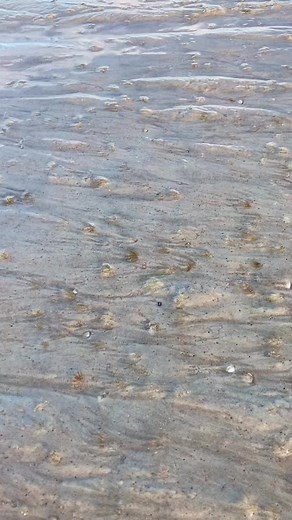 #beach #DontSpillChallenge #hippielife