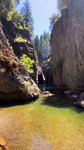 Travis Sims on TikTok