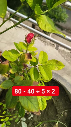 126K views · 391 reactions | Try This Math Test Solution | M Mathematics | Facebook