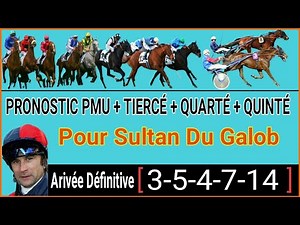 Paris Turf Analysis (Meeting 1 Race 4) Cagnes Sur Mer - Monday, January 19, 2026