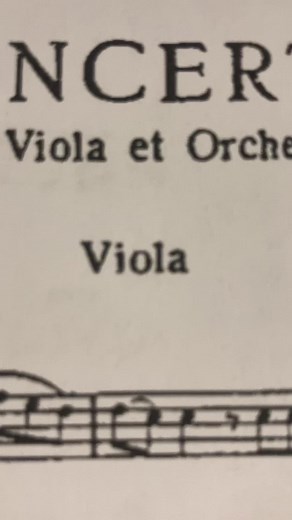 Viola core #viola #classicalmusic #orchestra #power #plsnohate inspo: @Hannah (shosti's version) 😉