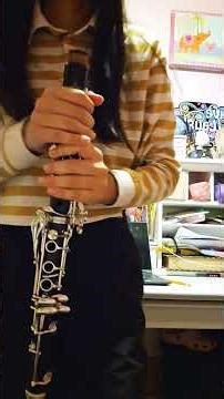 Tutorial how to clean your Clarinet 😁