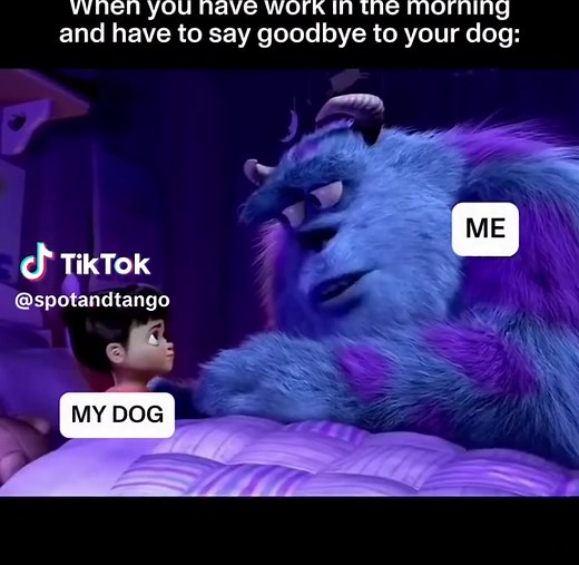 Heartwarming Dog Memes That Will Make You Laugh
