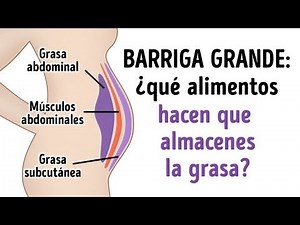 10 Alimentos que debes evitar para tener el abdomen plano que siempre has soñado